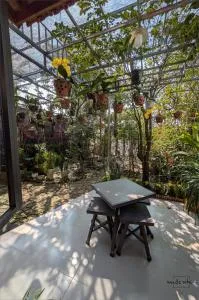 Homestay Mộc Nhi - Thôn Dương Phẩm