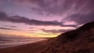 Yellow Door - Reebok