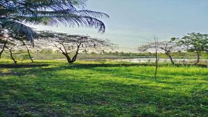 Harmony Haven, Udawalawe, Sri Lanka