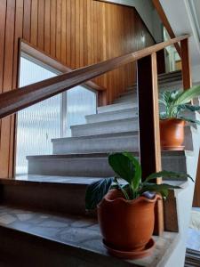 Colle Tourist Hotel Standard Sem Elevador