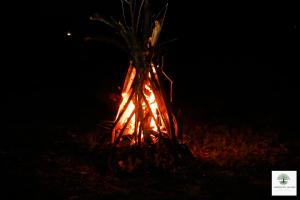 Harmony Haven, Udawalawe, Sri Lanka