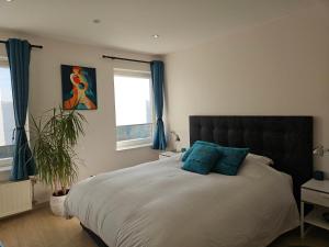 Modern duplex with garden