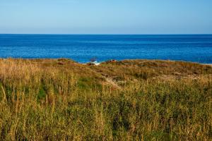 40 mt dal mare Casa Mare la Pergola