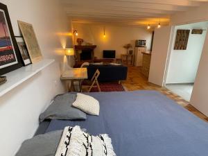 Appartements Studio 40m2 Antony : photos des chambres