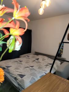 Studio cosy 21m2 rénové 75019