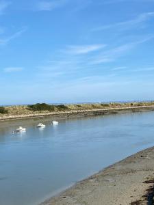 Appartements Appartement spacieux avec grande terrasse : photos des chambres