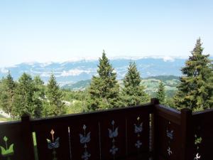 Appartements les 7 laux immobilier chalet A : photos des chambres