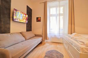Spacious apartment in the center of Prague