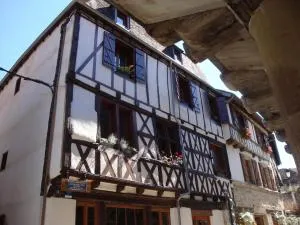 Beaulieu Apartments - 多尔多尼河畔博利厄