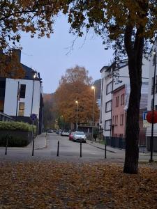 Maple Park Apartment