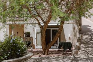 Chateau du Windhoek