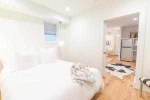 Delightful Apt in the Heart of Dupont