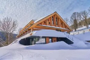 Labská 20 - apartmánový dům - Krausovy Boudy