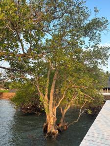 Sembulang Beach House