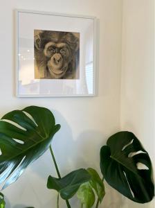 Zuhause auf Zeit in Mainz