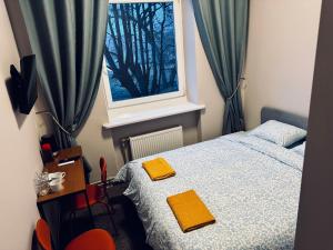 AJ Chocolate Vilnius