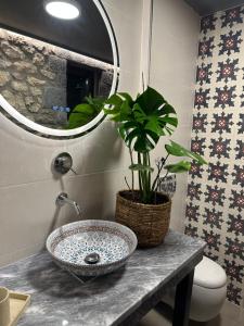 Wood & Stone Guesthouse