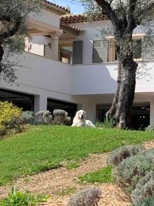 Maisons de vacances Paradise in olives grove : photos des chambres