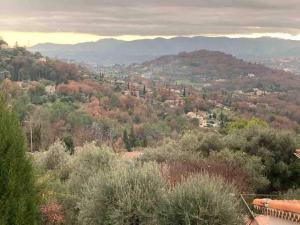 Maisons de vacances Paradise in olives grove : photos des chambres