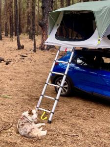 Rooftop tent - The best views of the island