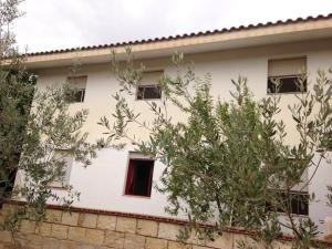 Appartement 3 Chambres