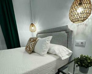 Apartamentos Muñoz Fornell 4