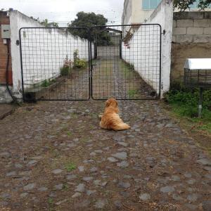 Casa de huéspedes San Antonio