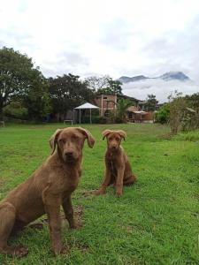 Casa de huéspedes San Antonio