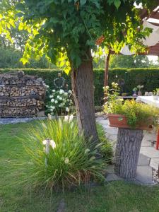 Apartmán Sluníčko