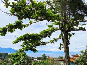 Chalé Completo Com Linda Vista para o Mar de Ilhabela