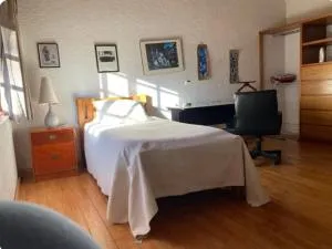 Casa Azul las hamacas - Morelos