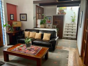 Casa Azul las hamacas