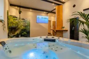 Tropical Wellness Suite I Sauna I Whirlpool I Hot Tub I TV I BBQ - 弗莱灵恩
