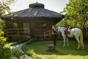 Donatela Resort and Sanctuary