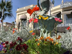 Appartements La Petite Ancre : photos des chambres