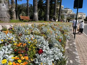 Appartements La Petite Ancre : photos des chambres