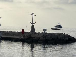 Appartements La Petite Ancre : photos des chambres