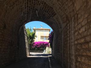 Appartements La Petite Ancre : photos des chambres