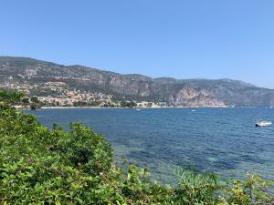 Appartements La Petite Ancre : photos des chambres