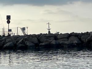 Appartements La Petite Ancre : photos des chambres