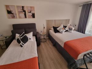 Pedro de Valdivia corazón de Providencia