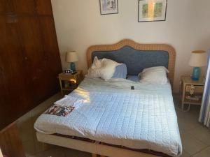 Villas CORSE VILLA CARPE DIEM VUE MER 6 PERS PISCINE : photos des chambres