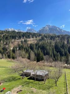 Casa Amalia - Ca di chi de zirie -