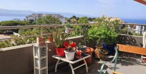T3 vue mer proche plage
