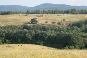 Harangvirag 36 Apartman