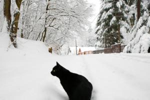 Harangvirag 36 Apartman