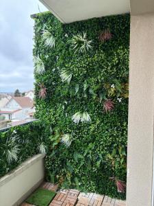 Sejours chez l'habitant A 10 mins d-aeroport d-ORLY logement lumineux chaleureux : photos des chambres