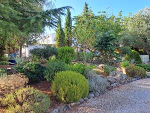 Finca Franca - Nudist Resort - Adults Only