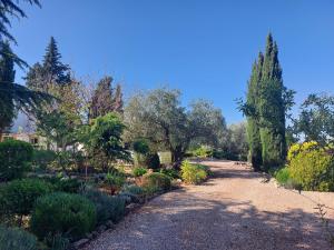 Finca Franca - Nudist Resort - Adults Only