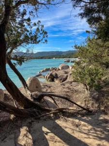 Appartements Magnifique 70m2 avec patio terrasse en bord de mer : photos des chambres